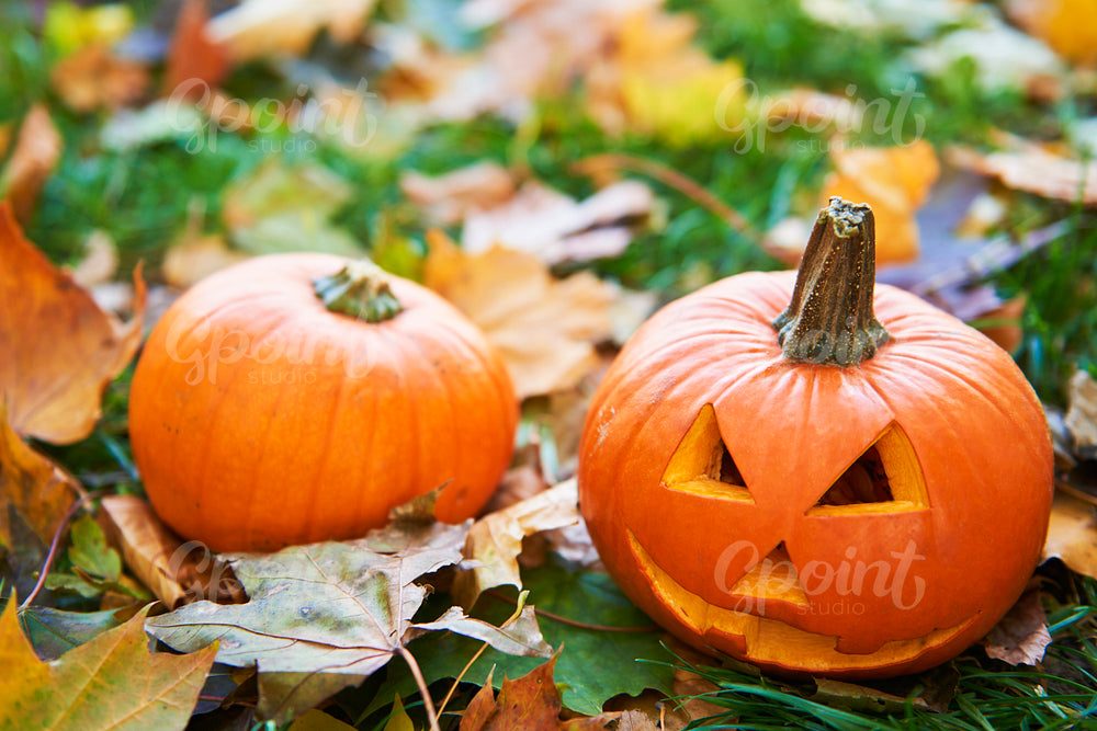 Halloween pumpkins in autumn forest