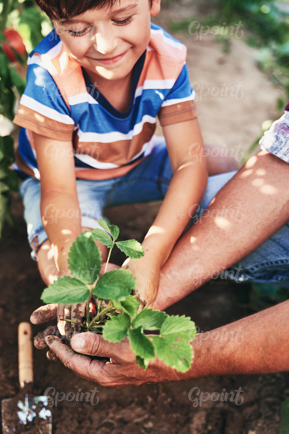 Smiling little boy holding seedlings