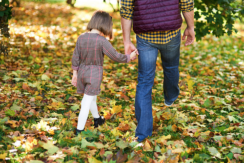 Rear view of child and father walking in autumn woods