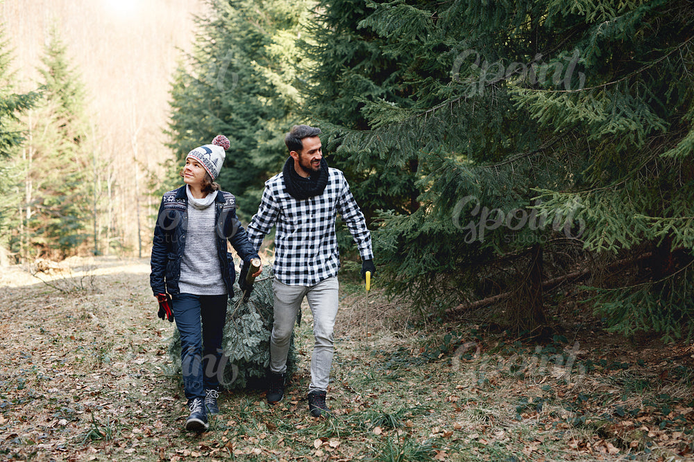 Cheerful dad and his son carrying the christmas tree