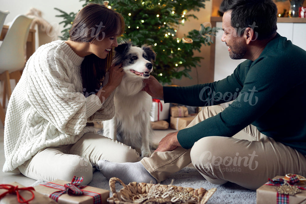 Multi ethnicity couple spending time with dog at Christmas