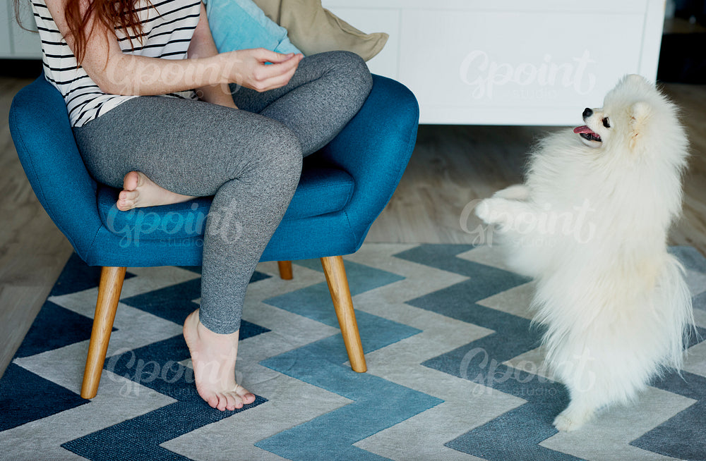 Woman playing with a Pomeranian dog