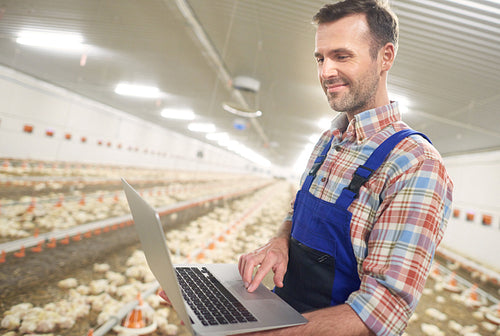 Modern farmer with a laptop