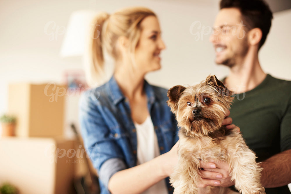 Loving couple with their cute puppy