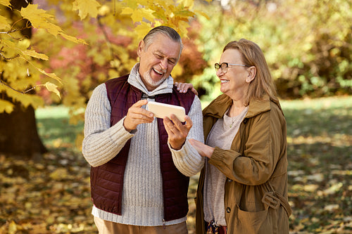 Senior woman and man looking at mobile phone at the park in autumn