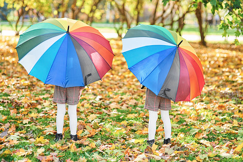 Children holding a colorful umbrella in the autumn forest
