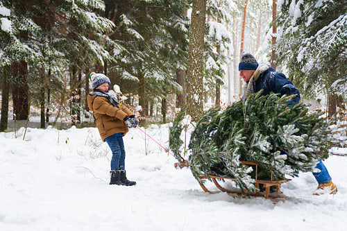 Pulling the Christmas tree with grandpa