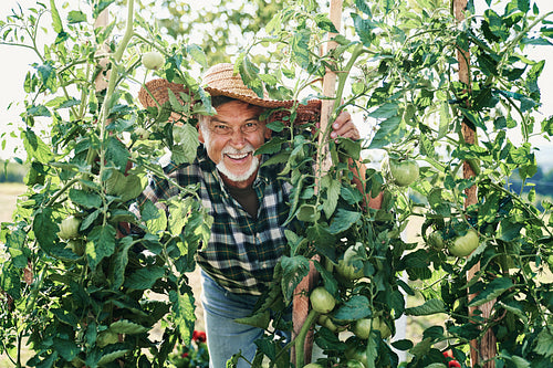 Portrait of happy farmer in his vegetable garden