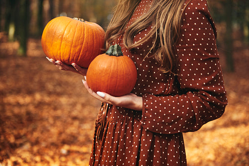 Detail of unrecognizable woman holding pumpkins in autumnal forest
