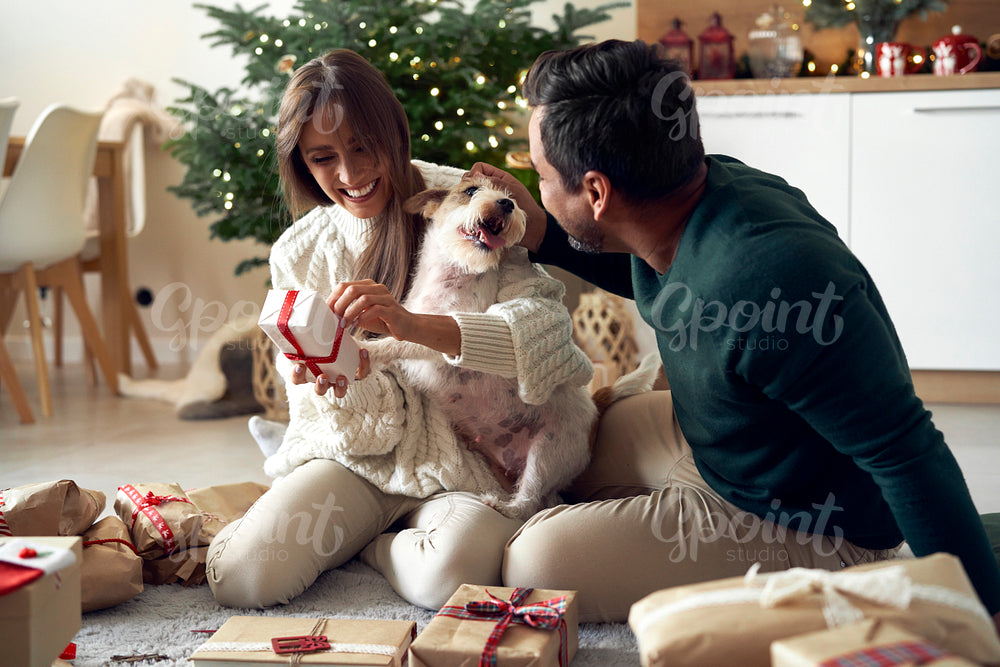 Happy multi ethnicity couple spending Christmas with dog at home 