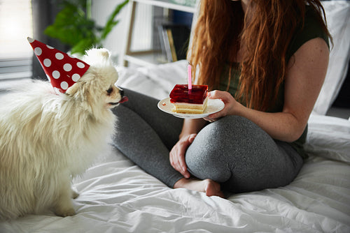 Woman having birthday cake for her pet dog