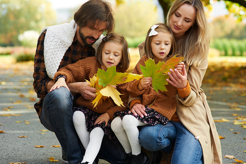 Family picking leafs in the autumn park