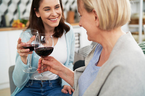Happy women toasting in wine at home