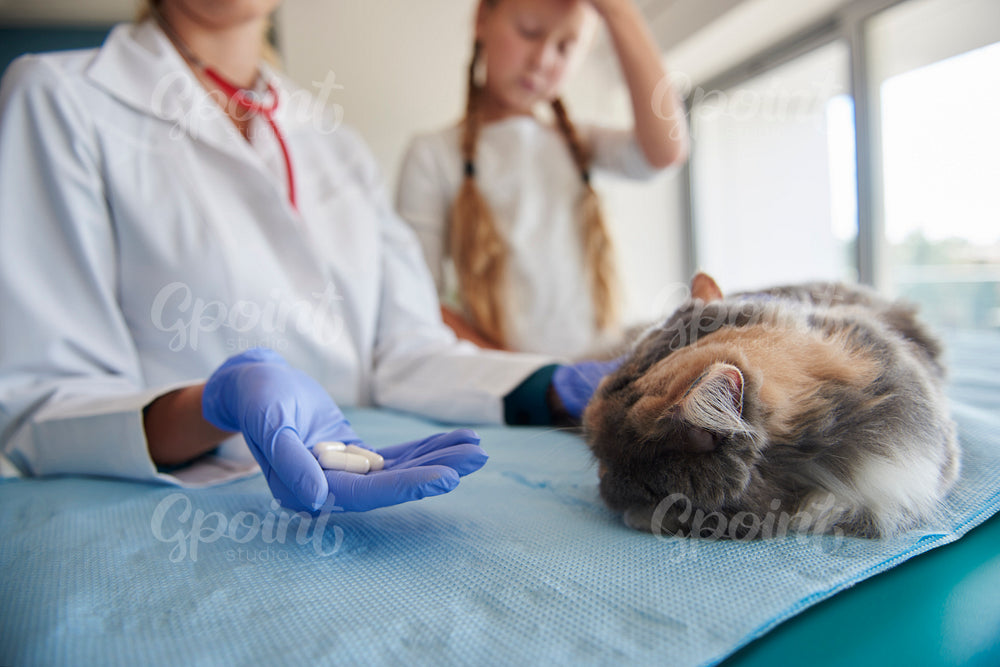 Vet giving to ill cat some pills