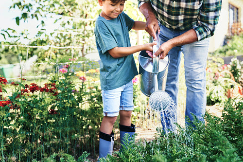 Grandfather with grandson watering together vegetables in the garden