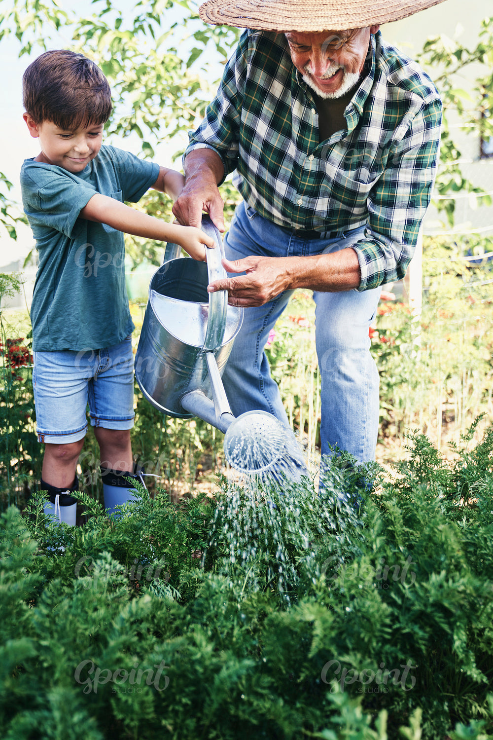 Grandfather with grandson watering vegetables in the garden