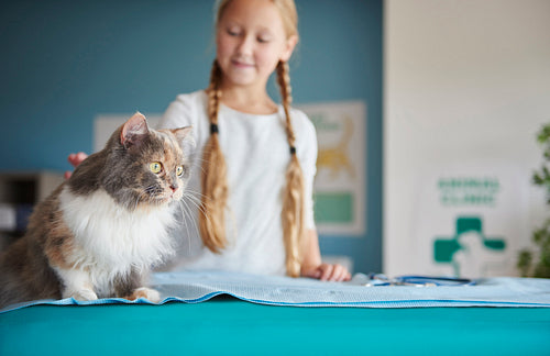 Girl and her cat at the vet