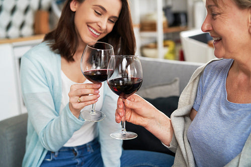 Mother and daughter toasting in wine during family reunion