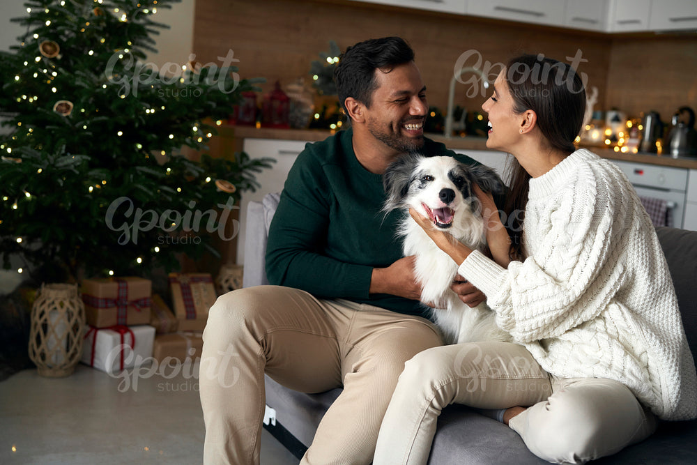 Happy couple with dog sitting at sofa in Christmas 