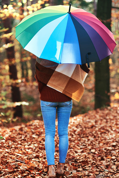 Rear view young woman with umbrella in the autumn forest