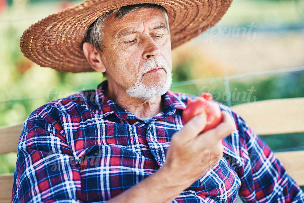Close up of senior man eating ripe tomatoes