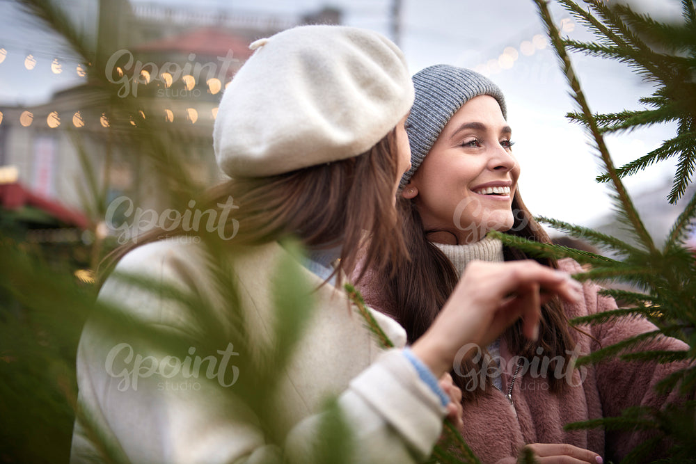 Two women picking  Christmas tree on Christmas Market