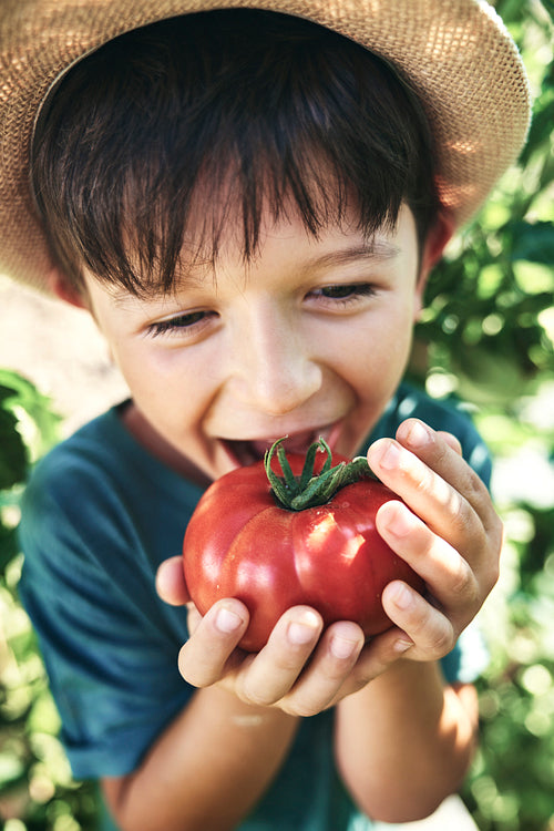 Close up of little boy eating ripe tomato