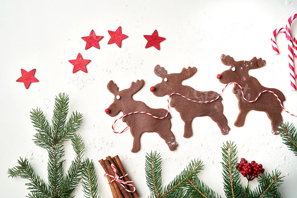 Top view of gingerbread reindeer on white background