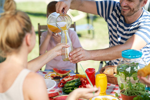 Family celebrating summer picnic together