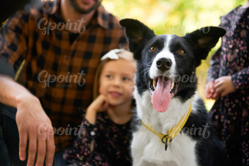 Happy dog and family in the background