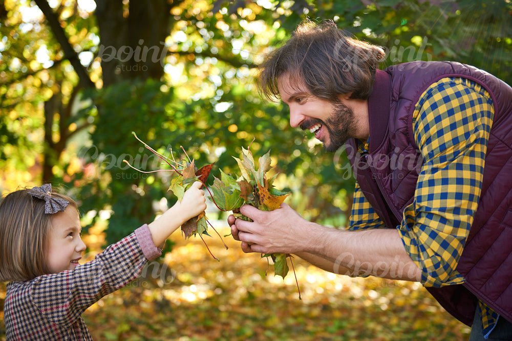 Father and daughter picking leafs on the fall season