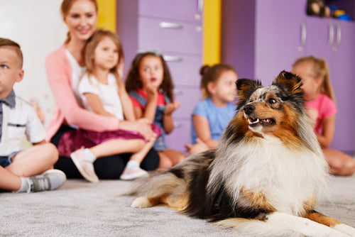 Therapy dog and group of kids in the preschool