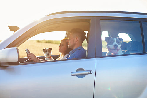 Young couple and their two dogs traveling by car