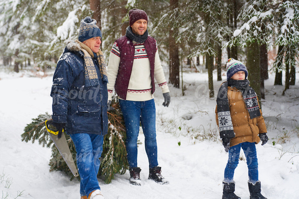 Three generation of family looking for perfect Christmas tree 