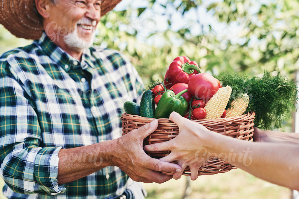 Happy farmer gives a basket full of seasonal vegetables