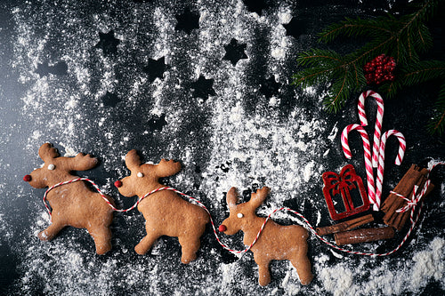 Santa reindeer made of gingerbread cookie