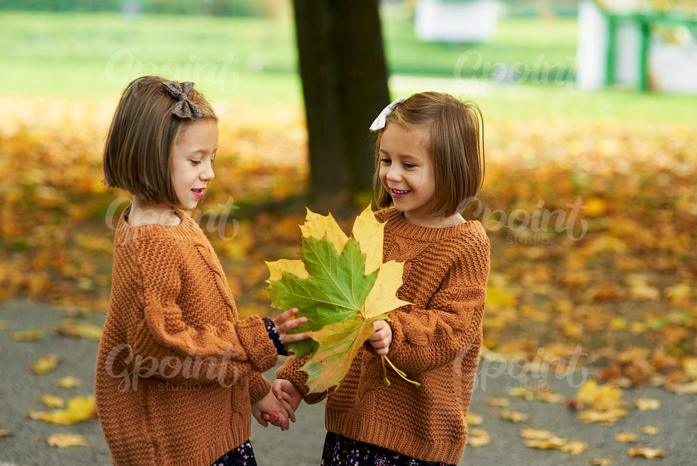 Charming twins picking leafs on the fall season