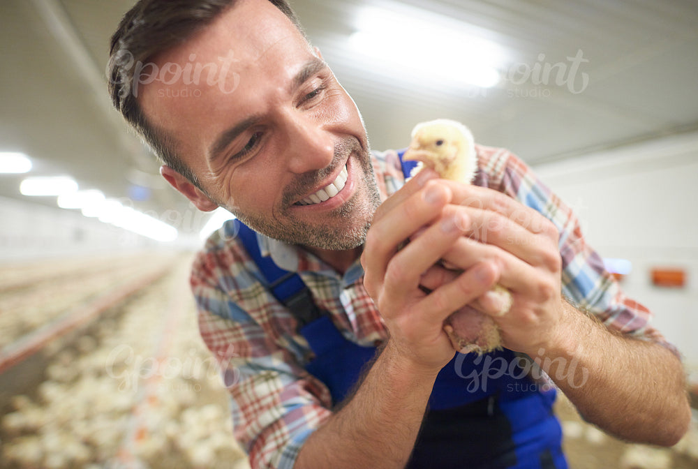 Young farmer holding small chicken