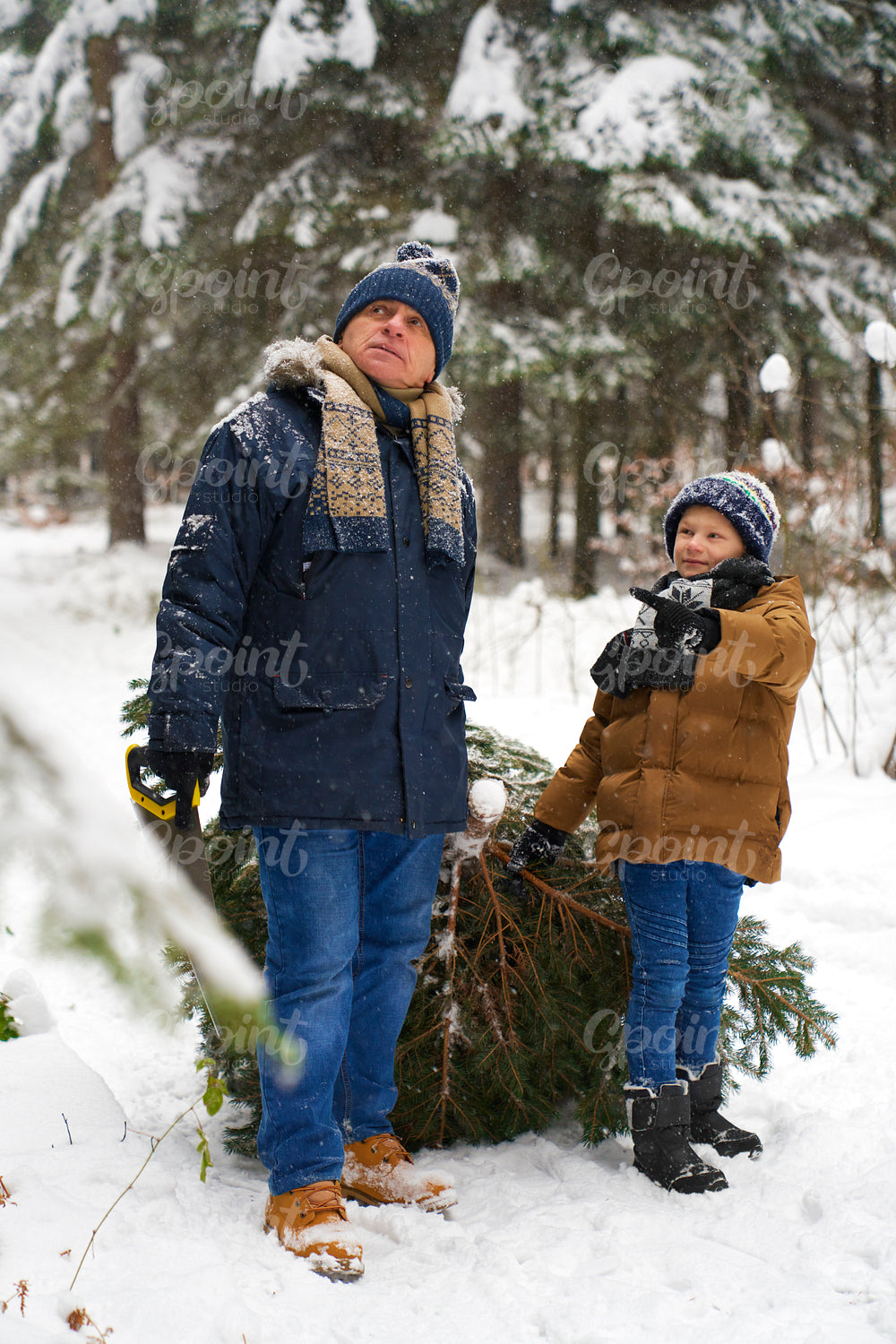 Preparing Christmas tree with grandpa