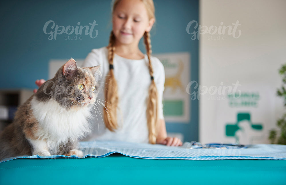 Girl and her cat at the vet