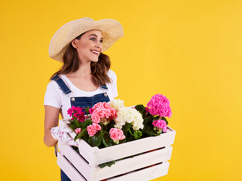Young woman carrying wooden crate with beautiful flowers