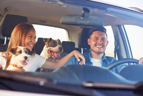 Happy couple with two dogs traveling by car