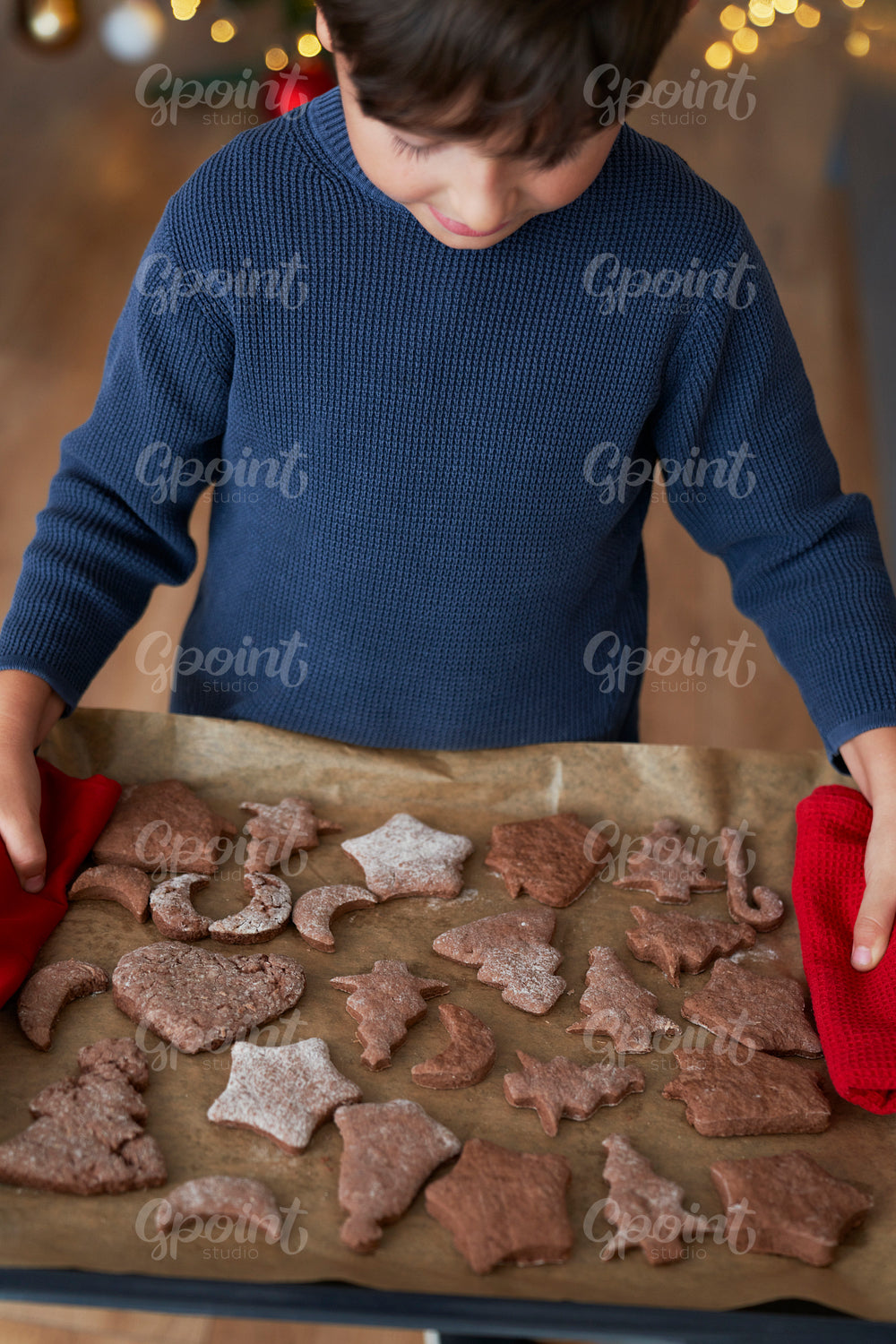 Boy proud of homemade gingerbread cookies