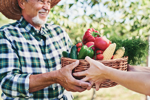 Happy farmer gives a basket full of seasonal vegetables