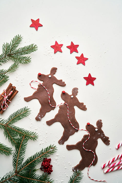 Gingerbread reindeer on white background