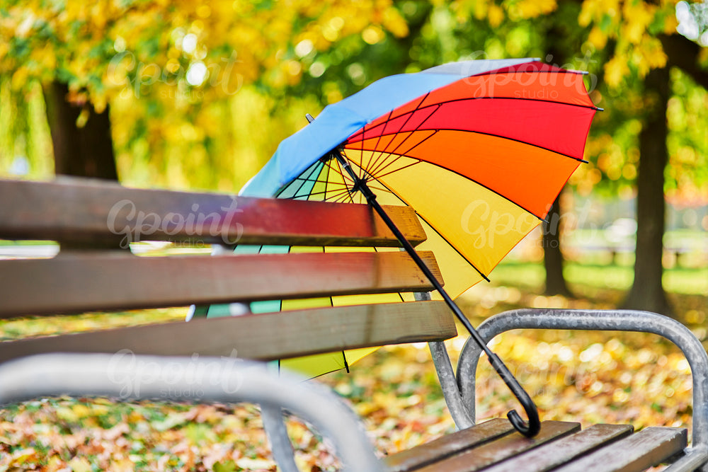 Colorful umbrella on the bench in the autumn park