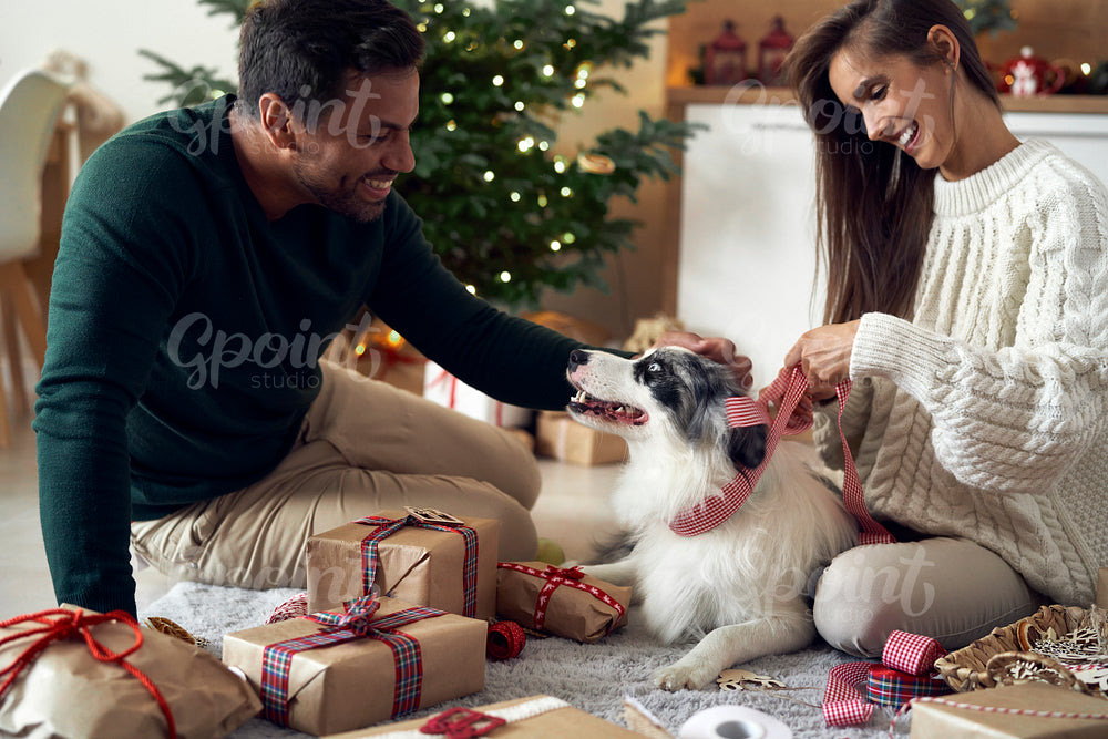 Multi ethnicity couple spending Christmas with dog at home