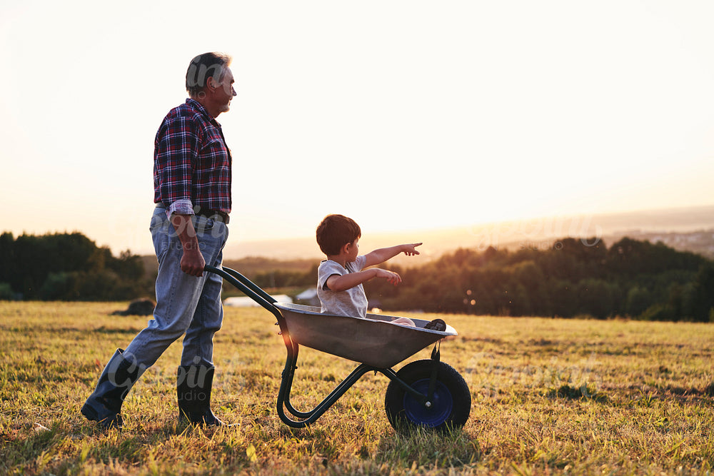 Grandfather driving his grandson in wheelbarrows at sunset