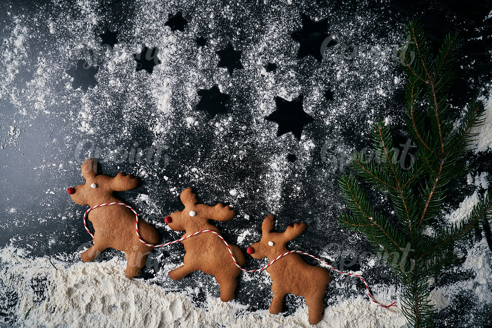 Three reindeer gingerbread cookies on powdered sugar