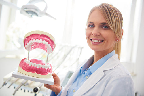 Portrait of smiling dentist showing an artificial dentures